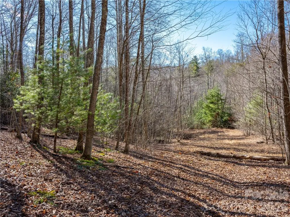 TBD Long Branch Road Swannanoa, NC 28778