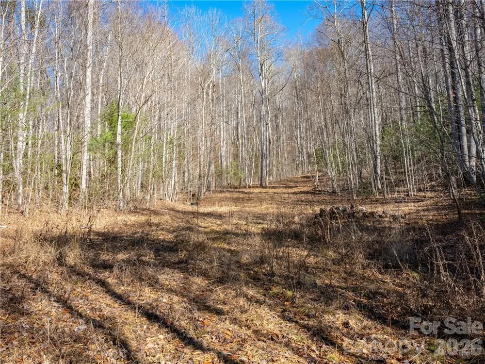 TBD Long Branch Road Swannanoa, NC 28778