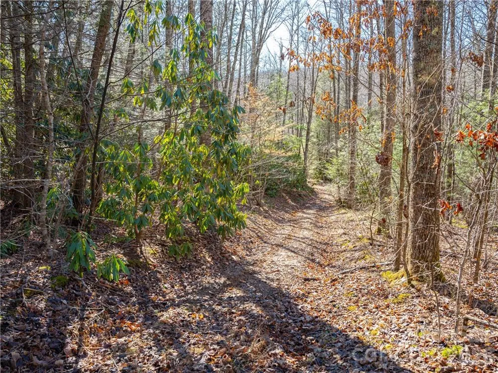 TBD Long Branch Road Swannanoa, NC 28778