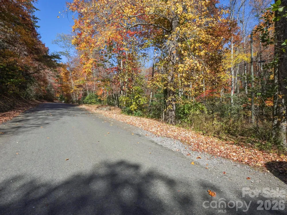 TBD Long Branch Road Swannanoa, NC 28778