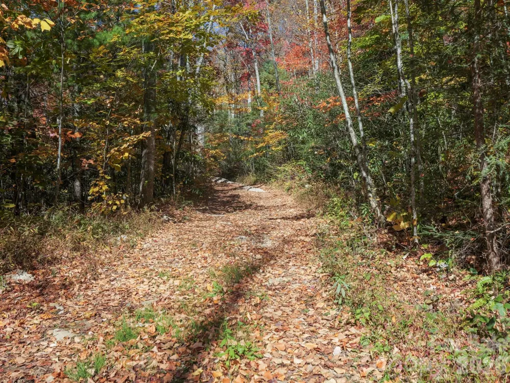 TBD Long Branch Road Swannanoa, NC 28778