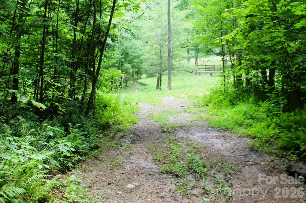 TBD Long Branch Road Swannanoa, NC 28778