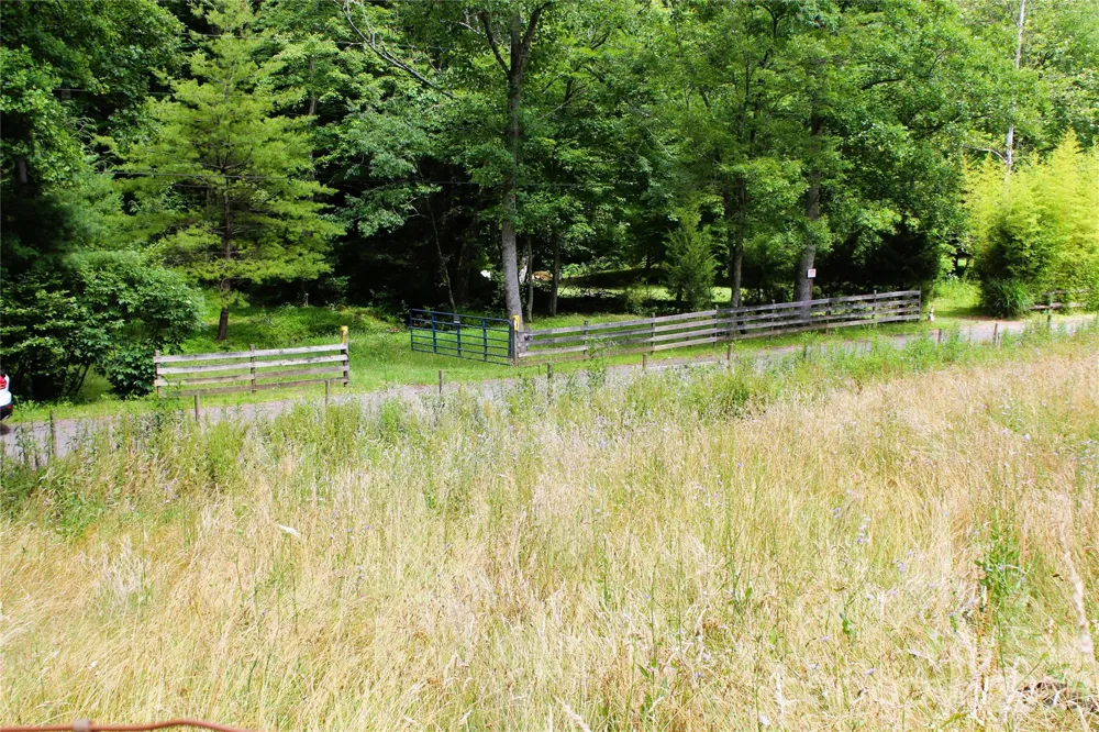 TBD Long Branch Road Swannanoa, NC 28778