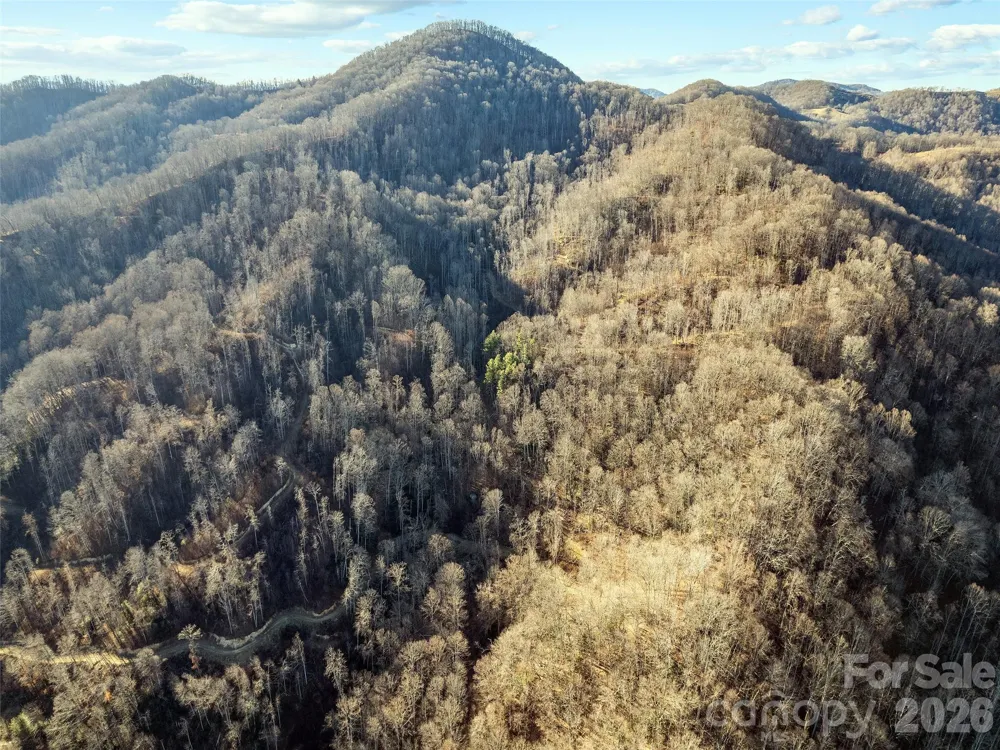 00 NC 209 Highway Spring Creek, NC 28743