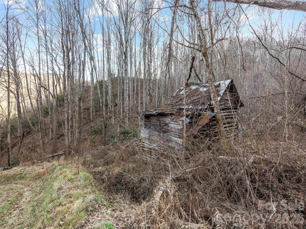 00 NC 209 Highway Spring Creek, NC 28743