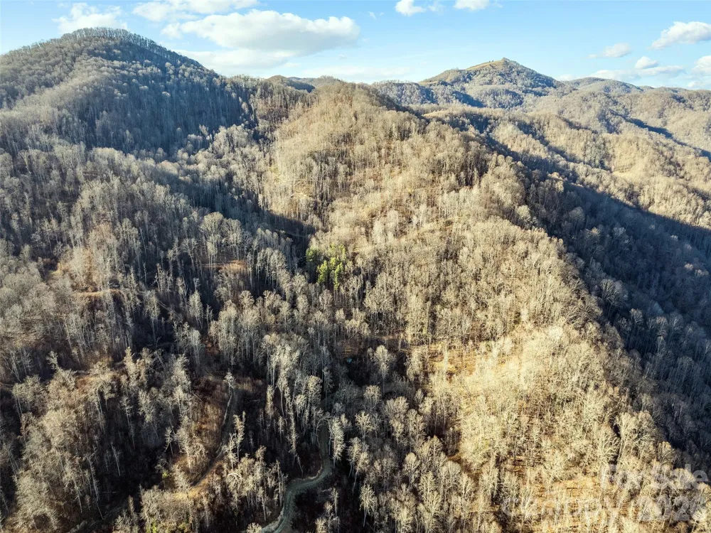 00 NC 209 Highway Spring Creek, NC 28743