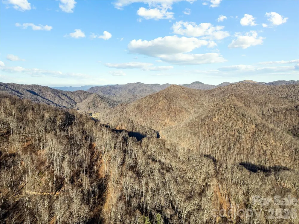 00 NC 209 Highway Spring Creek, NC 28743