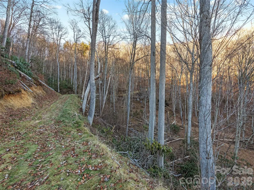 00 NC 209 Highway Spring Creek, NC 28743