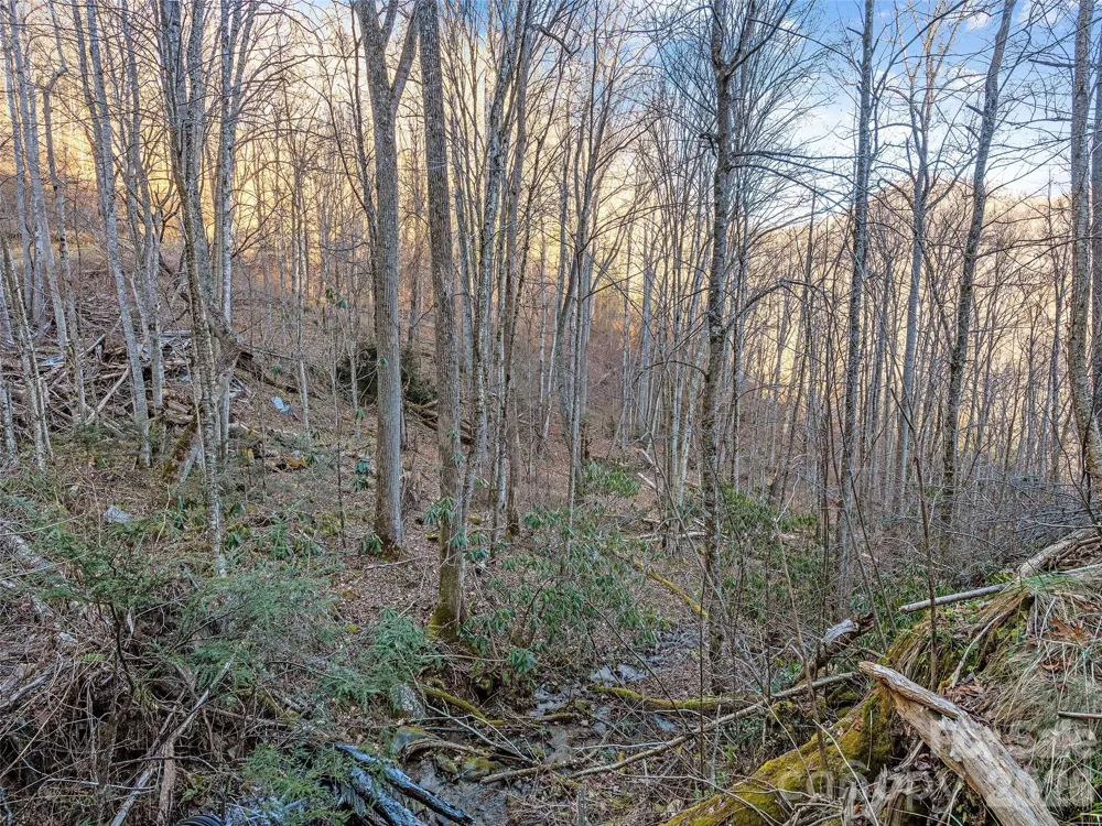 00 NC 209 Highway Spring Creek, NC 28743