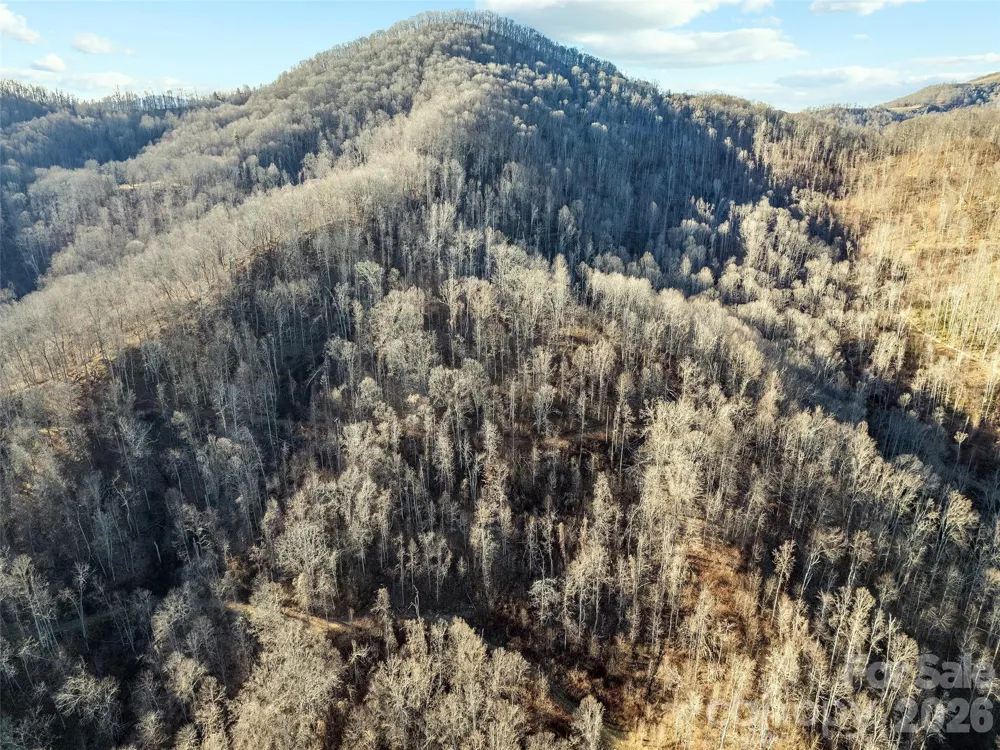 00 NC 209 Highway Spring Creek, NC 28743