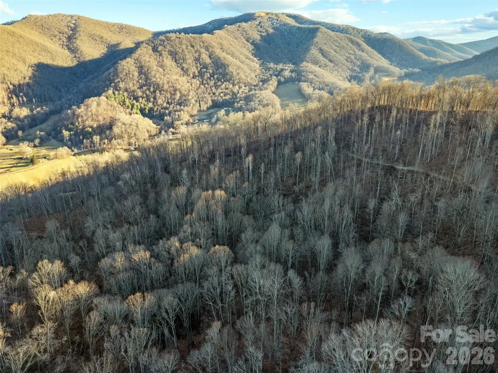 00 NC 209 Highway Spring Creek, NC 28743