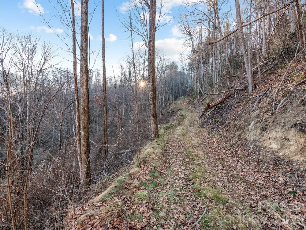 00 NC 209 Highway Spring Creek, NC 28743