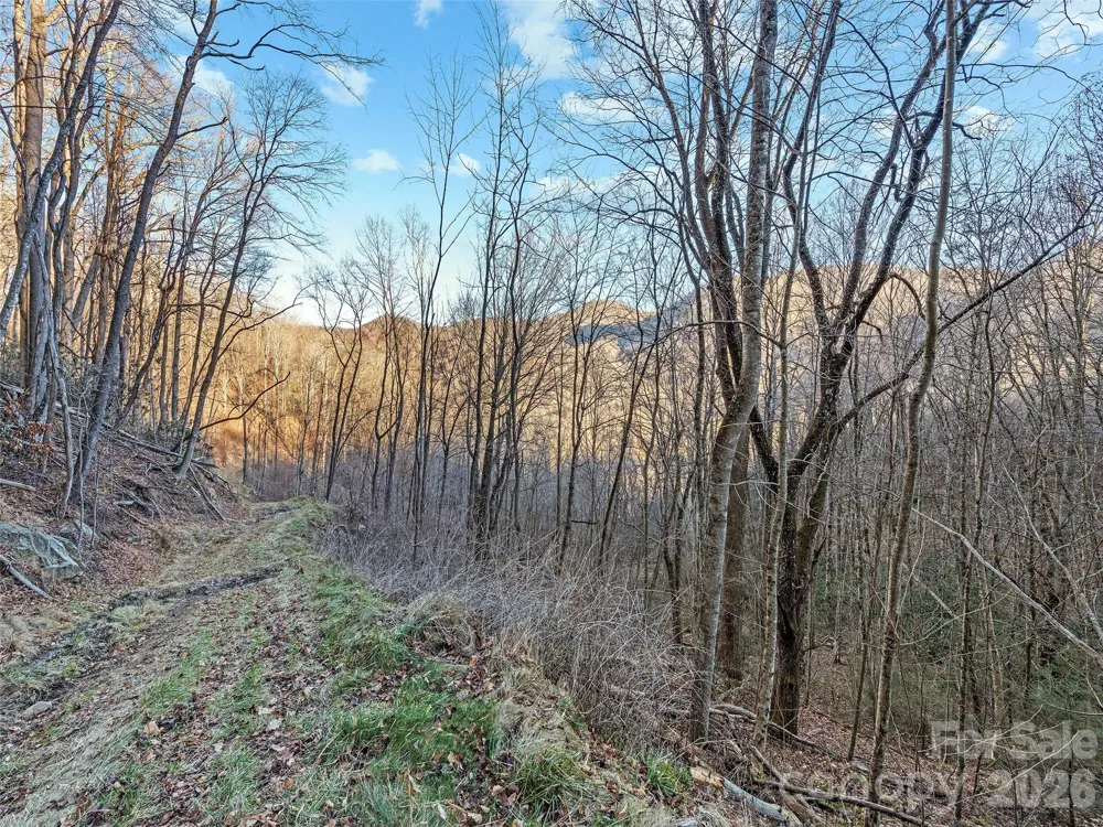 00 NC 209 Highway Spring Creek, NC 28743