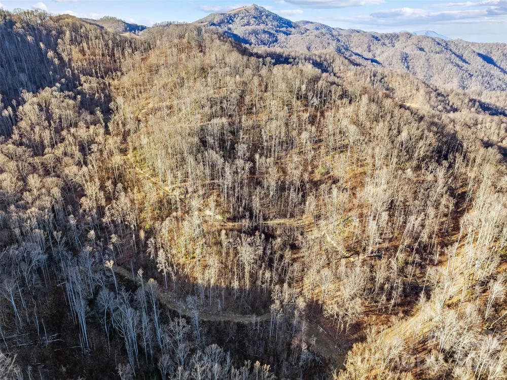 00 NC 209 Highway Spring Creek, NC 28743