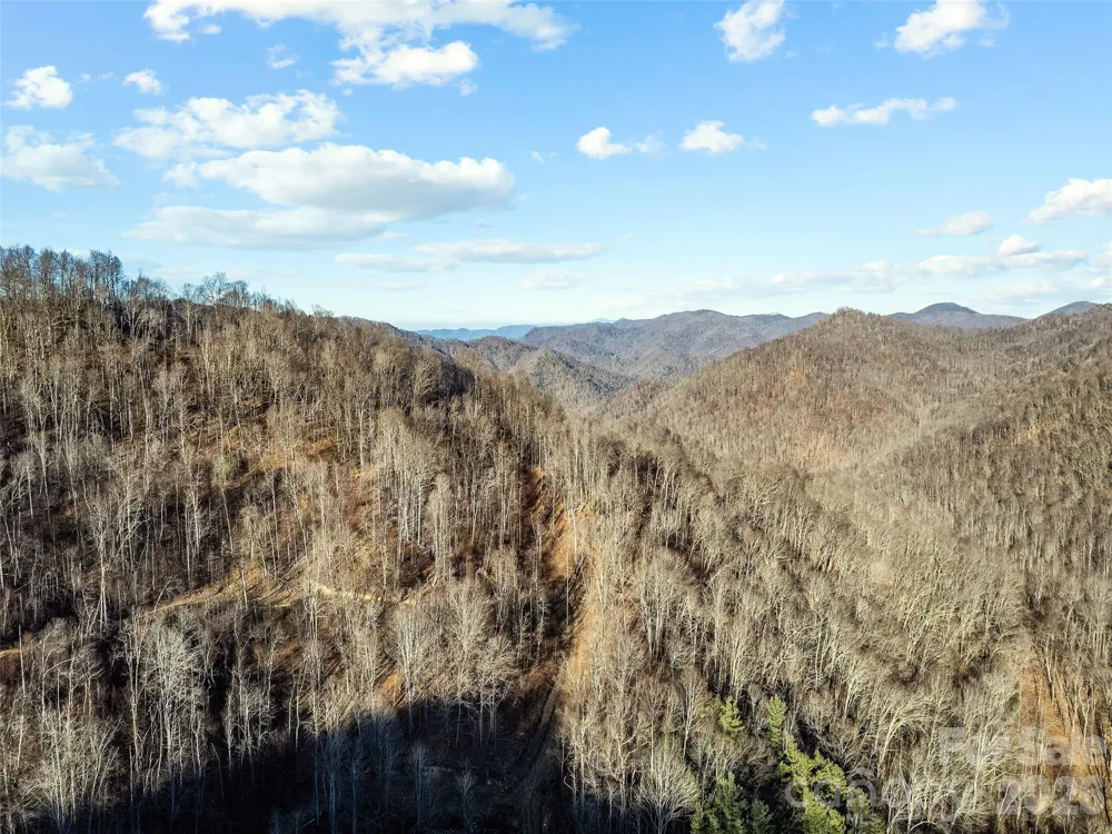 00 NC 209 Highway Spring Creek, NC 28743