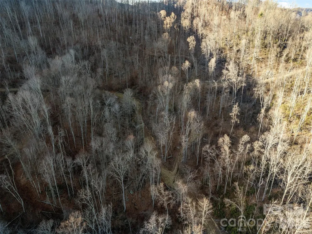 00 NC 209 Highway Spring Creek, NC 28743