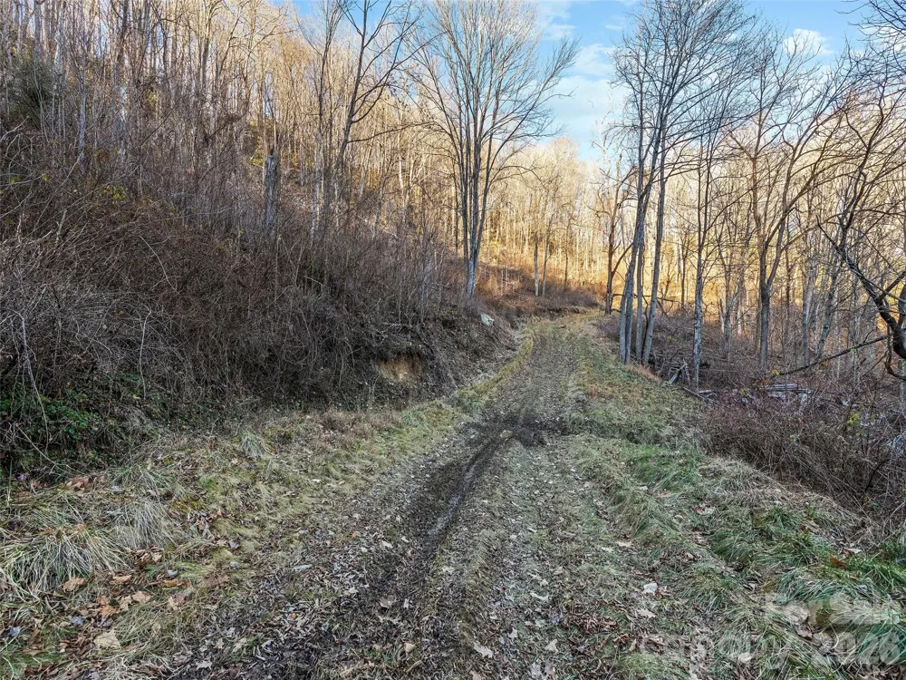 00 NC 209 Highway Spring Creek, NC 28743