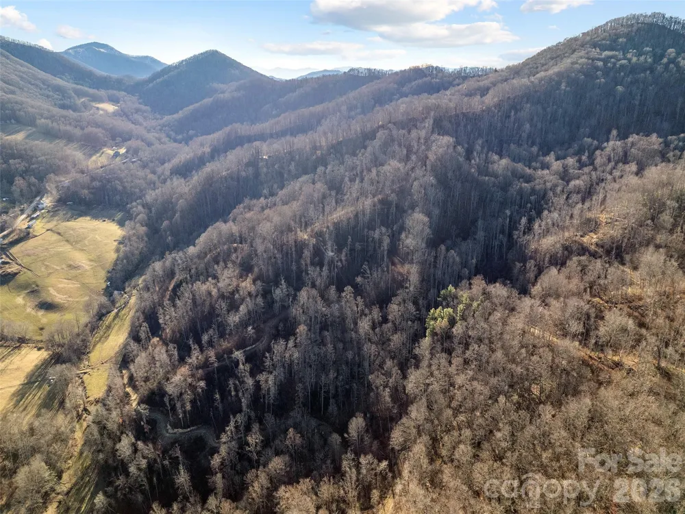 00 NC 209 Highway Spring Creek, NC 28743