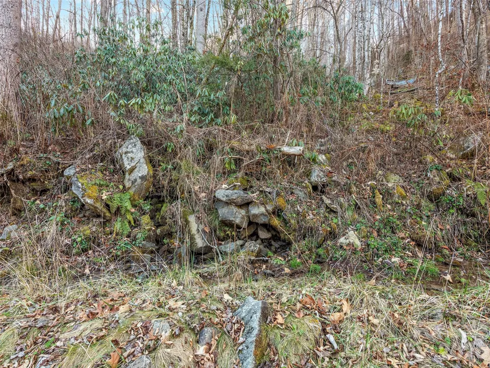 00 NC 209 Highway Spring Creek, NC 28743