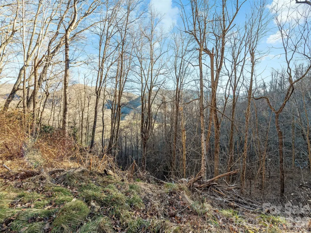 00 NC 209 Highway Spring Creek, NC 28743