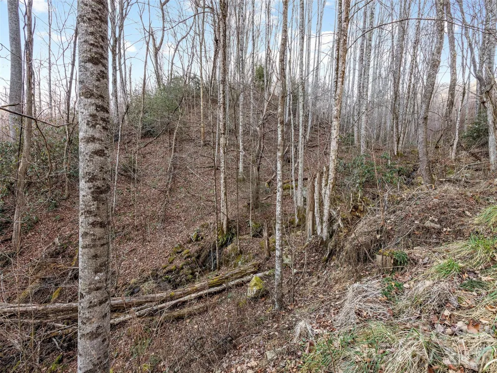 00 NC 209 Highway Spring Creek, NC 28743