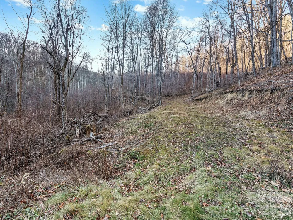 00 NC 209 Highway Spring Creek, NC 28743