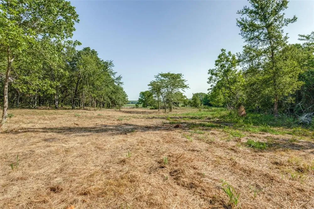 6650 State Hwy 56 Highway Bells, TX 75414