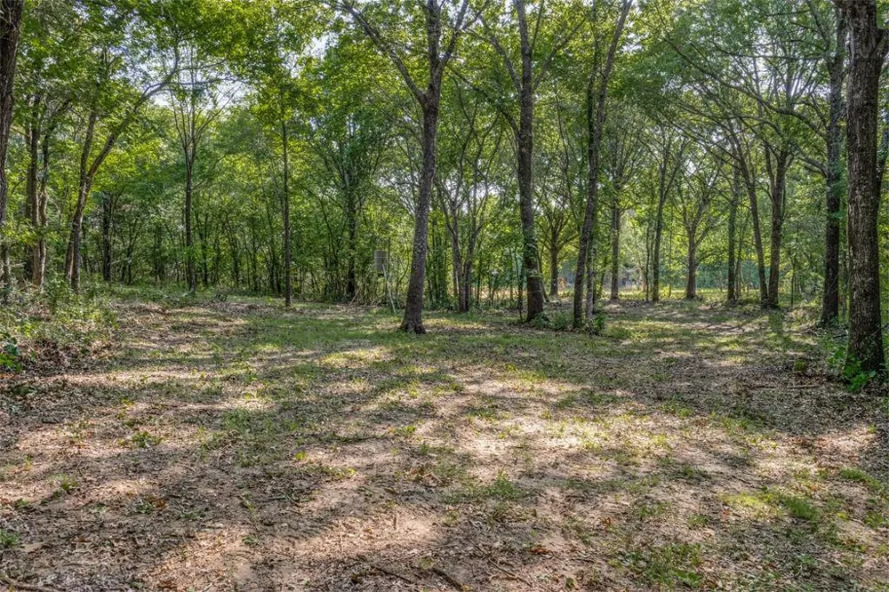 6650 State Hwy 56 Highway Bells, TX 75414