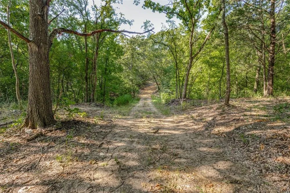 6650 State Hwy 56 Highway Bells, TX 75414