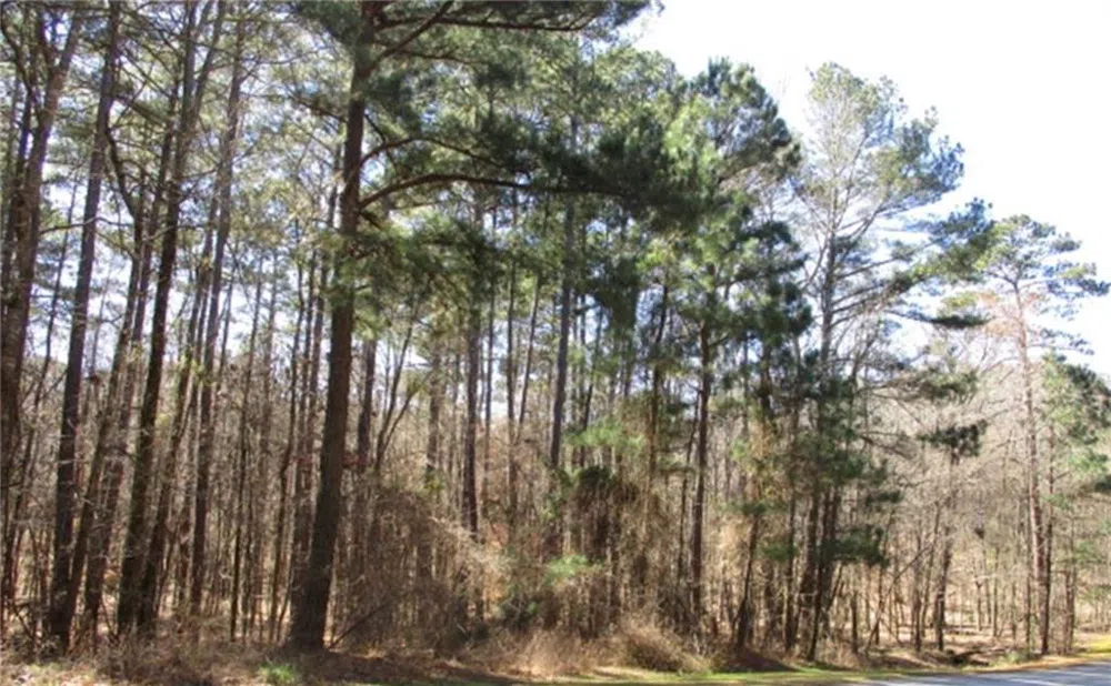1170 Anchor Bay Greensboro, GA 30642