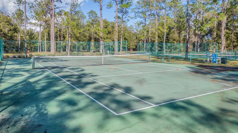 3106 BRIGHT LAKE CIRCLE Groveland, FL 34736
