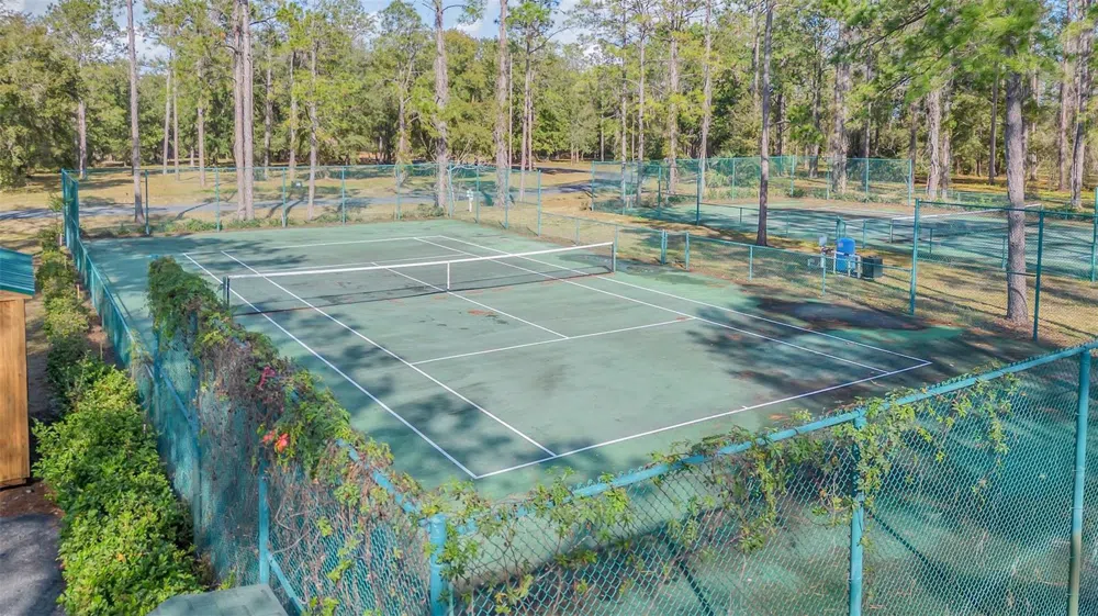 3106 BRIGHT LAKE CIRCLE Groveland, FL 34736