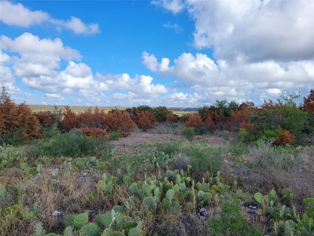 FM 1855 Highway Marble Falls, TX 78654