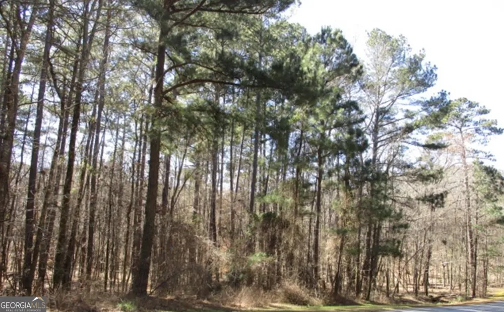 1170 Anchor Bay CIR Greensboro, GA 30642