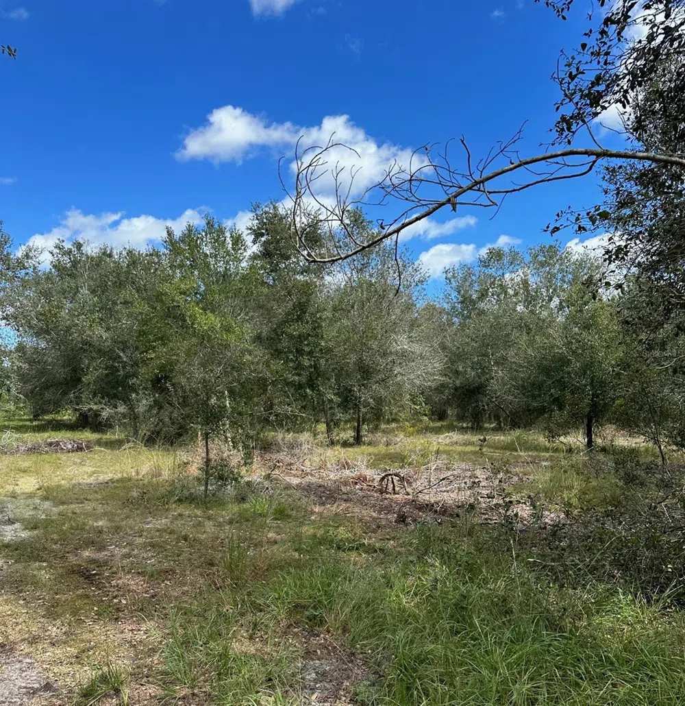 SE TOMLIN #3 DRIVE Arcadia, FL 34266