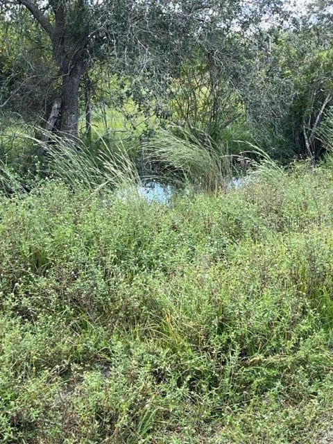 SE TOMLIN #3 DRIVE Arcadia, FL 34266