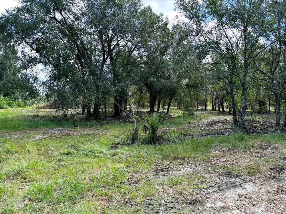 SE TOMLIN #3 DRIVE Arcadia, FL 34266