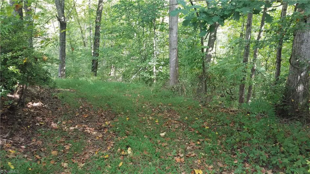 13 Noel Road Stoneville, NC 27048