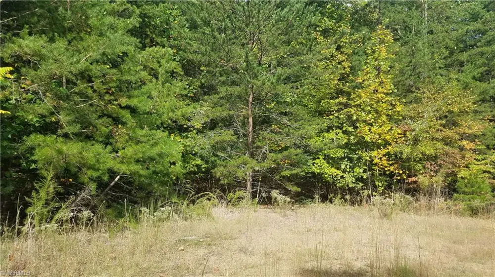 13 Noel Road Stoneville, NC 27048