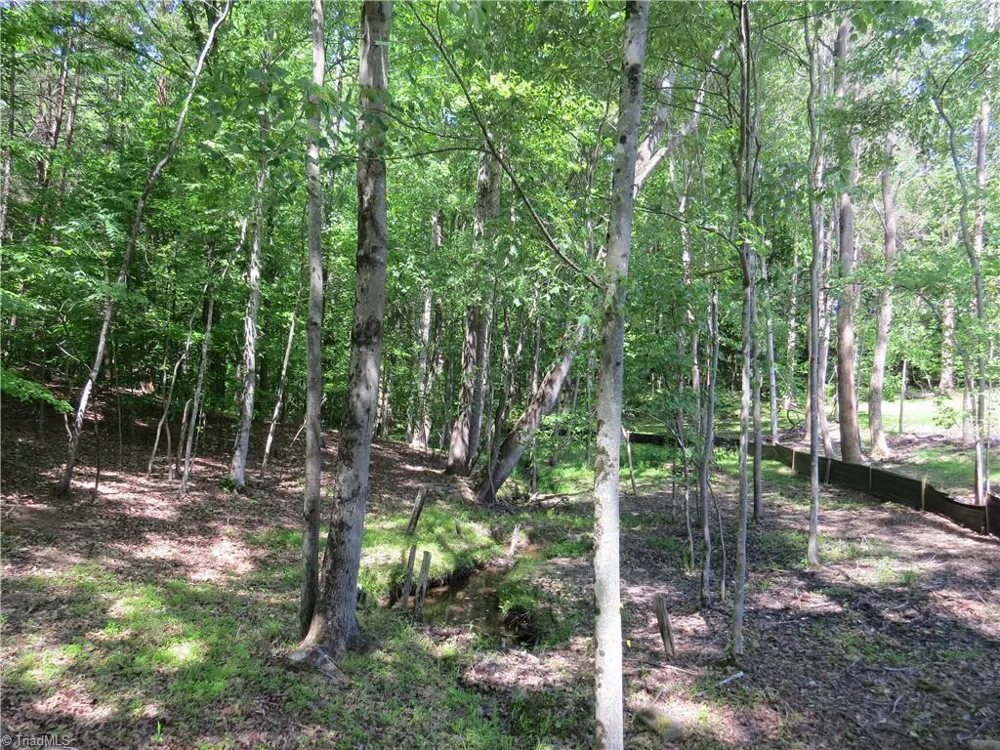5765 Chrismon Road Browns Summit, NC 27214