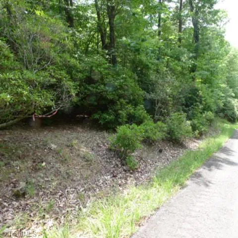 Lot 17 Mountain View Drive Lowgap, NC 27024