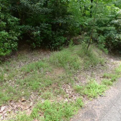 Lot 17 Mountain View Drive Lowgap, NC 27024
