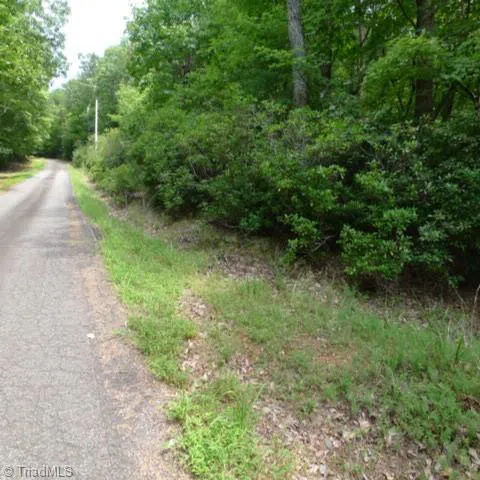Lot 18 Mountain View Drive Lowgap, NC 27024