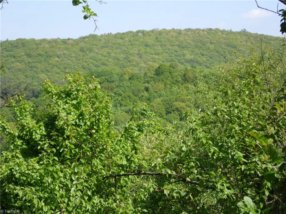 Lot #37 Ridgewood Road Sparta, NC 28675