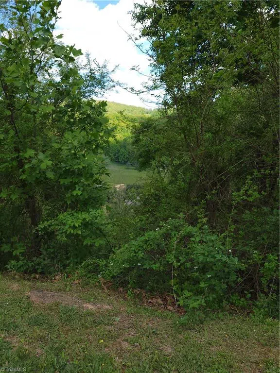 Lot #37 Ridgewood Road Sparta, NC 28675