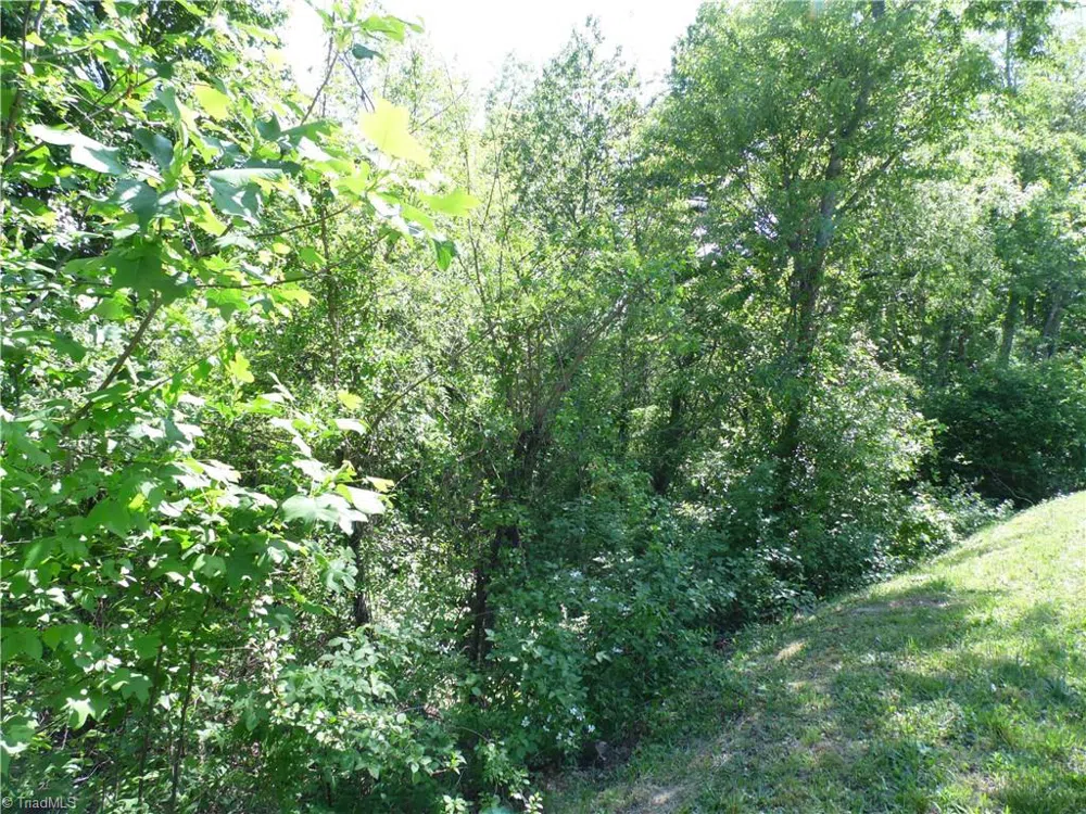 Lot #37 Ridgewood Road Sparta, NC 28675