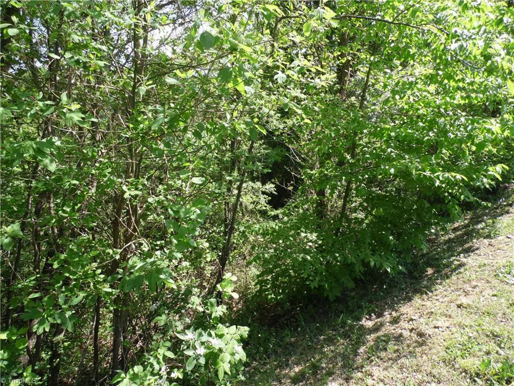 Lot #37 Ridgewood Road Sparta, NC 28675