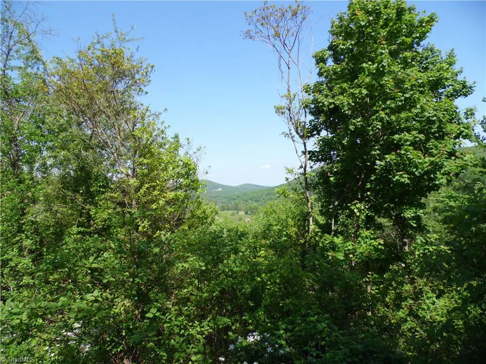 Lot #37 Ridgewood Road Sparta, NC 28675