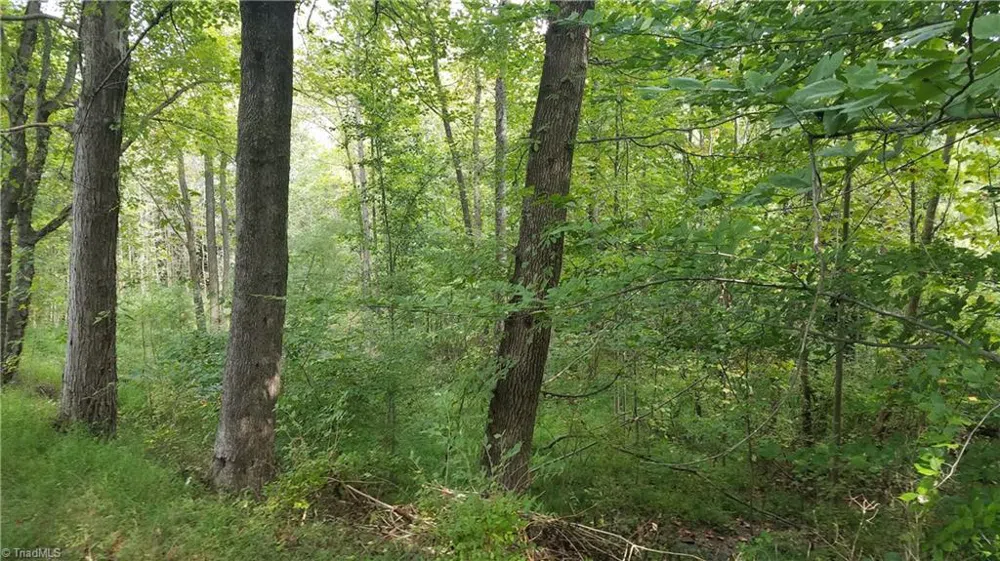 12 Noel Road Stoneville, NC 27048