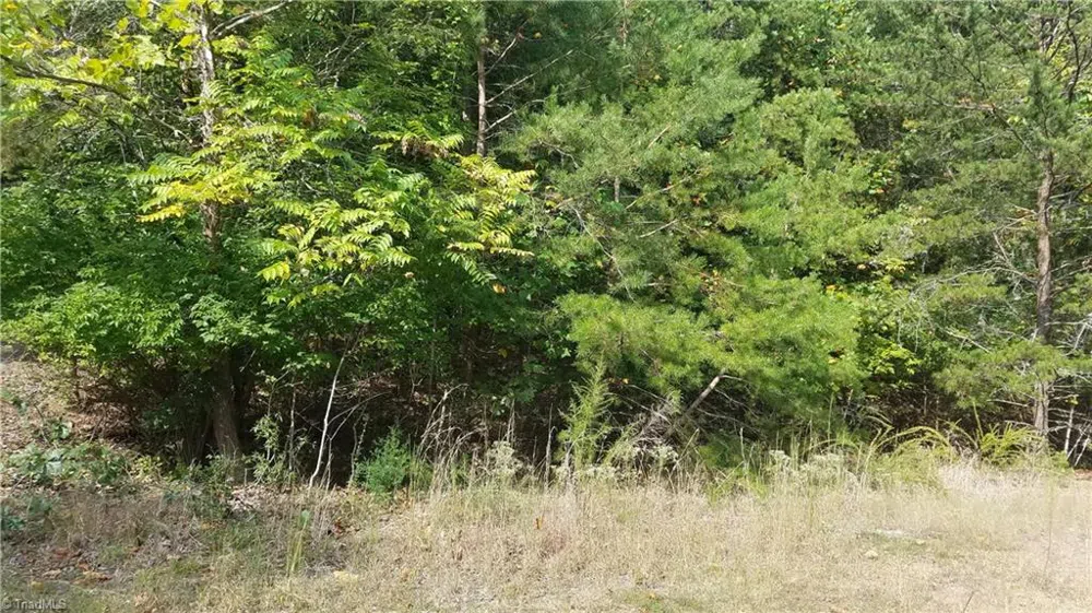 12 Noel Road Stoneville, NC 27048